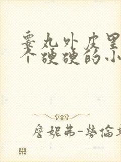 睾丸外皮里面有个硬硬的小疙瘩