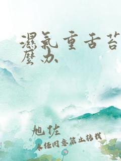 湿气重舌苔白怎么办