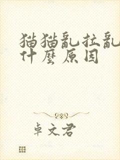 猫猫乱拉乱尿是什么原因