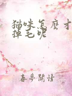 猫咪怎么才能不掉毛呢