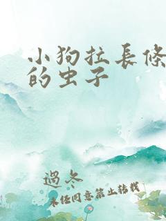 小狗拉长条白色的虫子