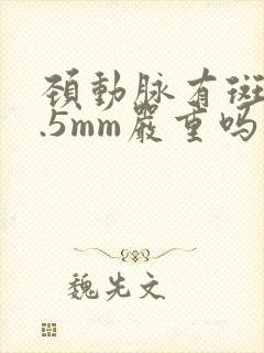 颈动脉有斑块1.5mm严重吗