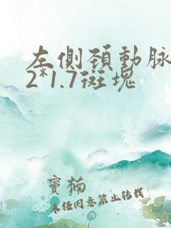 左侧颈动脉8.2*1.7斑块