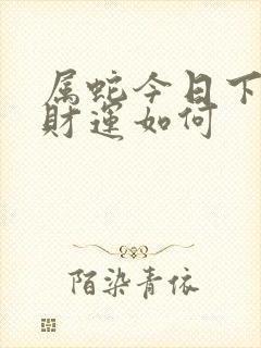 属蛇今日下午偏财运如何