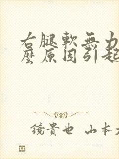 右腿软无力是什么原因引起的症状