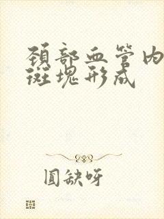 颈部血管内粥样斑块形成