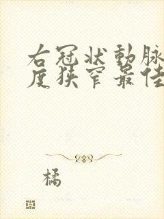 右冠状动脉中重度狭窄最佳治疗