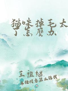 猫咪掉毛太严重了怎么办