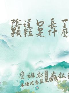 阴道口长了白色颗粒是什么