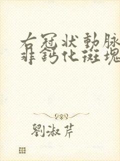 右冠状动脉近段非钙化斑块,管腔轻度狭窄