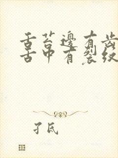 舌苔边有齿痕 舌中有裂纹