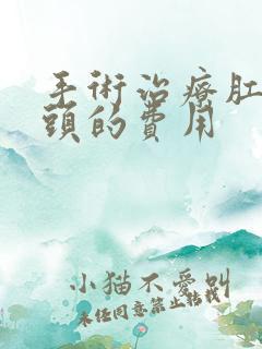 手术治疗肛门乳头的费用