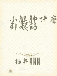 小腿肿什么原因引起的