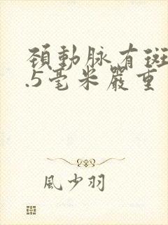 颈动脉有斑块1.5毫米严重