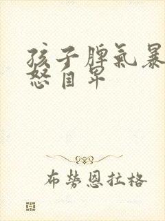 孩子脾气暴躁易怒自卑