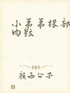 小弟弟根部 小肉粒