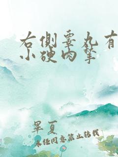 右侧睾丸有一个小硬肉揪