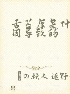 舌苔厚是什么原因导致的