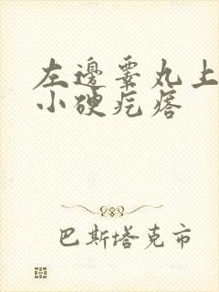 左边睾丸上有个小硬疙瘩