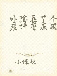 外阴长了个硬痘痘什么原因