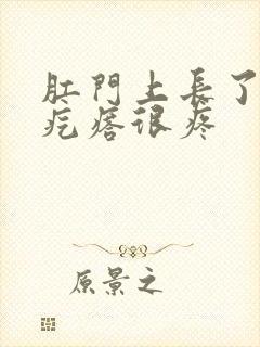 肛门上长了个硬疙瘩很疼