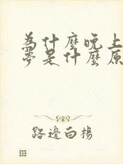 为什么晚上老做梦是什么原因