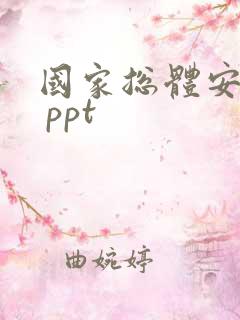 国家总体安全观 ppt