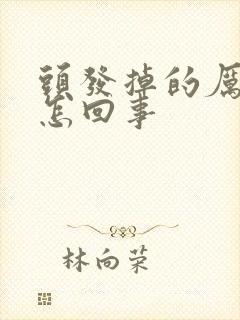 头发掉的厉害是怎回事