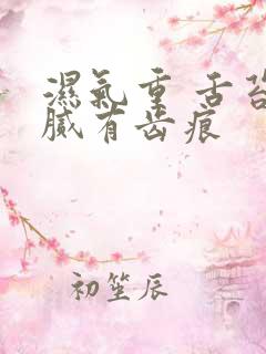 湿气重 舌苔白腻有齿痕