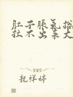 肚子胀气总放屁拉不出来大便