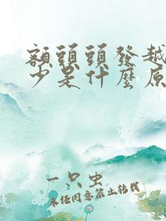 额头头发越来越少是什么原因