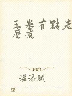 玉米有点老了怎么煮