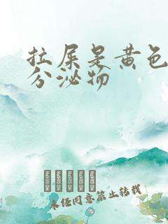 拉屎是黄色粘稠分泌物