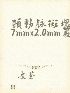 颈动脉斑块7.7mmx2.0mm严重吗