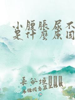 小腹胀尿不出来是什么原因男