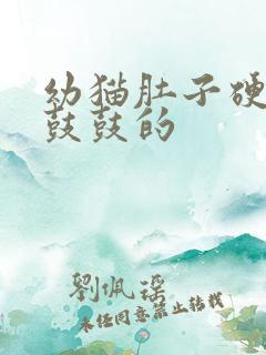 幼猫肚子硬硬的鼓鼓的