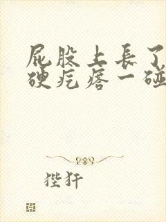 屁股上长了一个硬疙瘩一碰就疼