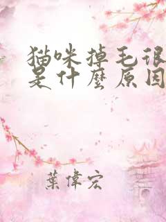 猫咪掉毛很厉害是什么原因