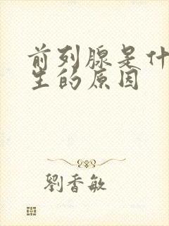 前列腺是什么产生的原因