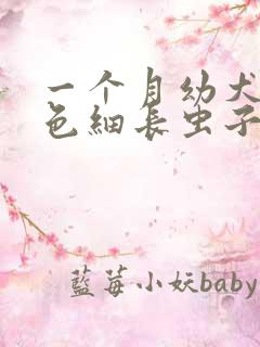 一个月幼犬拉白色细长虫子