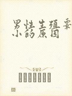 男性生殖睾丸缩小的原因