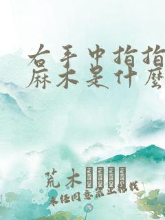 右手中指指头肚麻木是什么原因