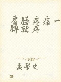 肩膀疼痛一抬胳膊就疼