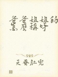 爸爸姐姐的老公怎么称呼