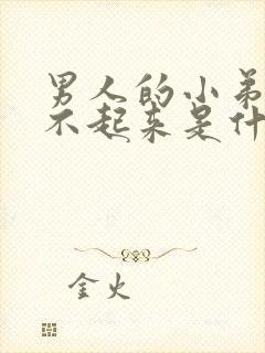 男人的小弟弟硬不起来是什么原因