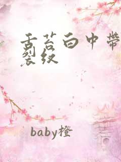 舌苔白中带黄有裂纹