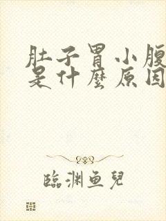 肚子胃小腹胀气是什么原因