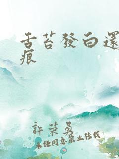 舌苔发白还有齿痕