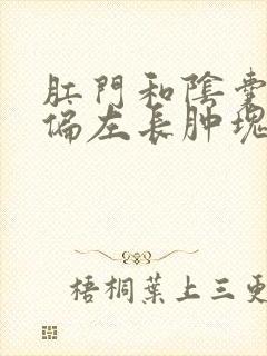 肛门和阴囊中间偏左长肿块疼