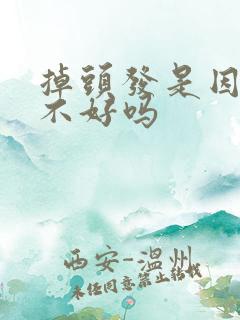 掉头发是因为肾不好吗